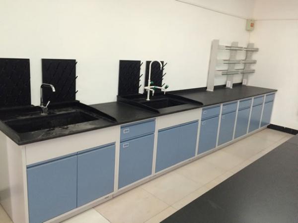 厂家定制实验室专用设备 实验室家具 实验柜 双气瓶柜 全钢气图片