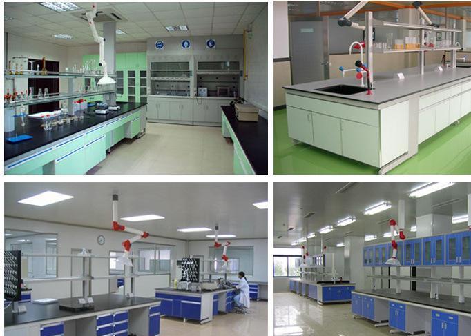 广东实验柜 厂家专业定做 实验室 pp试剂柜 实验室家具设备示例图13